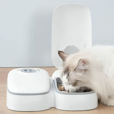 distributeur-automatique-de-croquettes-pour-chat-pratique