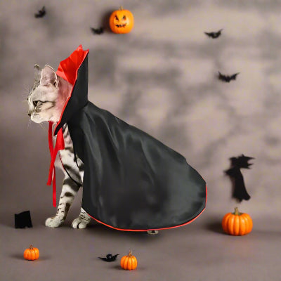 deguisement-pour-chat-halloween-amusant