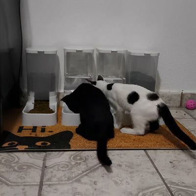 distributeur-croquettes-chat-ensemble