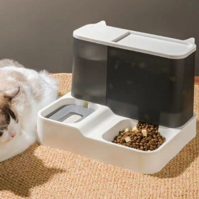 distributeur-de-croquettes-pour-chat-automatique