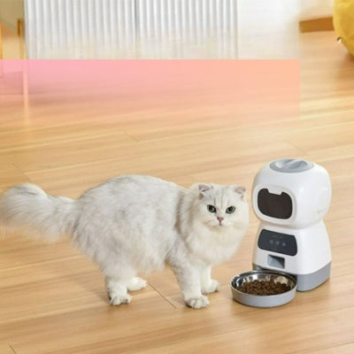 distributeur-de-croquettes-pour-chat-cablable