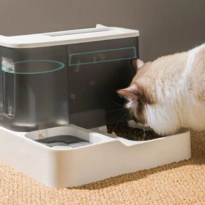 distributeur-de-croquettes-pour-chat-longue-duree