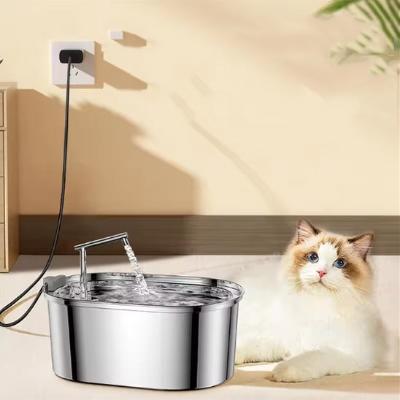 Chat blanc et marron aux yeux bleus posé à côté de la fontaine remplie qui verse de l'eau dans la pièce du salon.