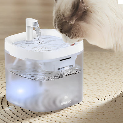fontaine-a-eau-chat-beige-qui-boit