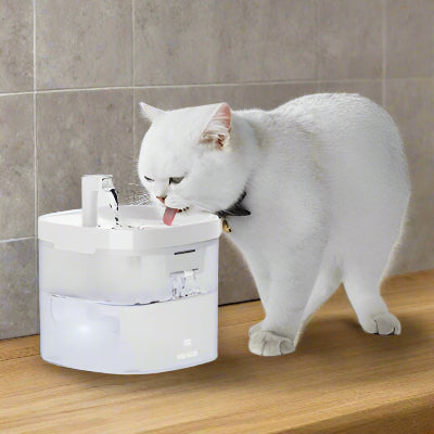 fontaine-a-eau-chat-blanc-qui-boit