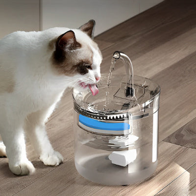 fontaine-a-eau-chat-grande-capacite