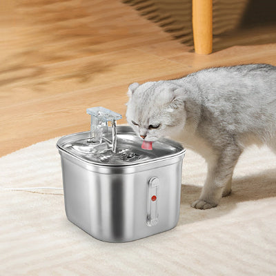 fontaine-a-eau-chat-gris-qui-boit