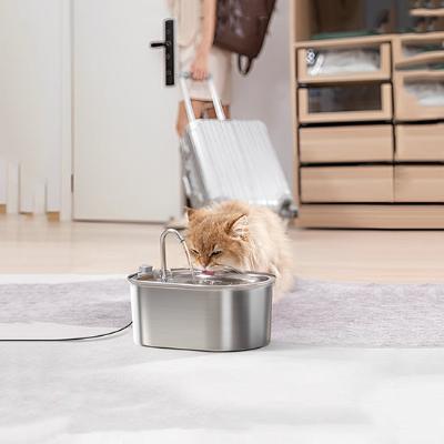 fontaine-a-eau-chat-propre-chat-qui-boit-propriétaire-qui-part-en-voyage
