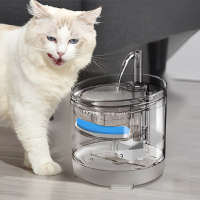 fontaine-a-eau-chat-transparente