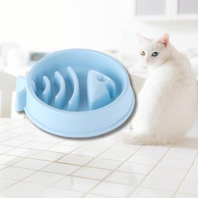 Il y a une gamelle bleue ciel avec forme de poisson à l'intérieur. Il y a un chat blanc avec un œil vert et un bleu qui est assis de dos sur une table carrelée blanche et qui tourne juste la tête face caméra.