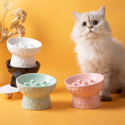 gamelle-anti-glouton-chat-surélevée