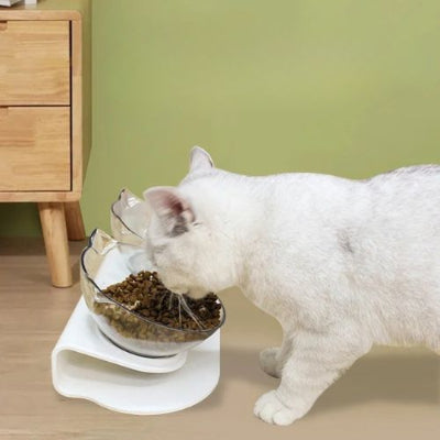 gamelle-chat-surelevee-ergonomique