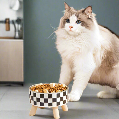 gamelle-pour-chat-résistante