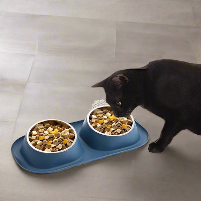 gamelle-pour-chat-solide