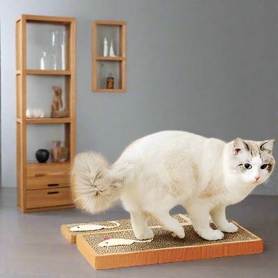 griffoir-chat-carton-mignon