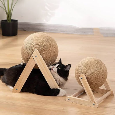 griffoir-chat-durable
