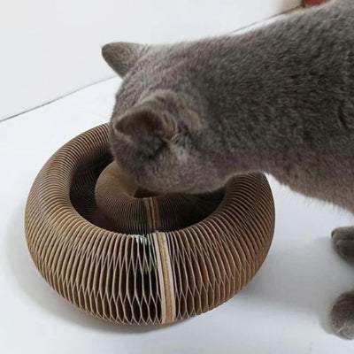 griffoir-chat-ludique