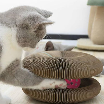 griffoir-chat-maille