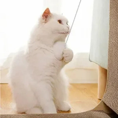 griffoir-chat-multifonctions