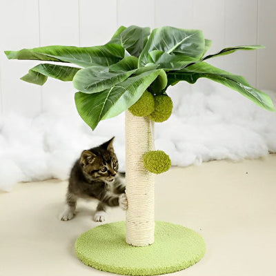 griffoir-pour-chat-ludique
