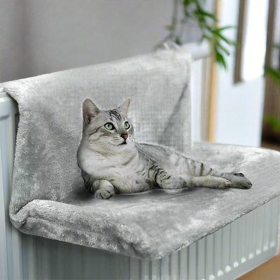 hamac-chat-gris