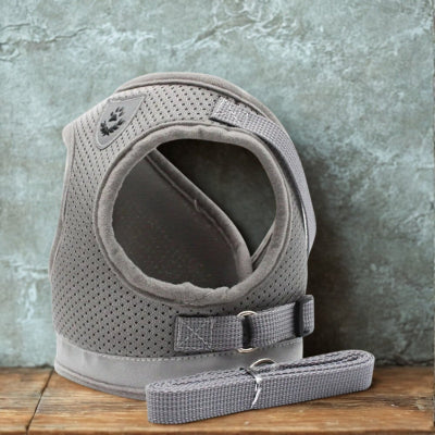 harnais-chat-anti-fugue-gris