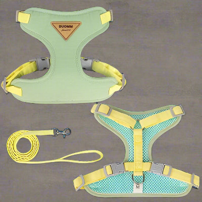 harnais-chat-anti-fugue-vert