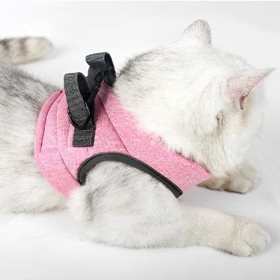 harnais-chat-double-sécurité