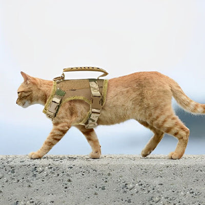 harnais-pour-chat-militaire