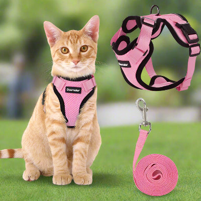 harnais-pour-chat-rose