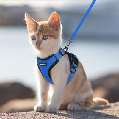 harnais-pour-chat_-respirant