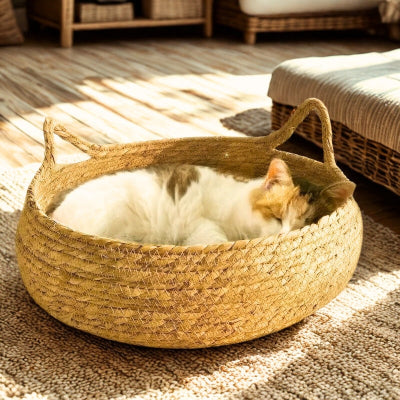 lit-pour-chat-panier