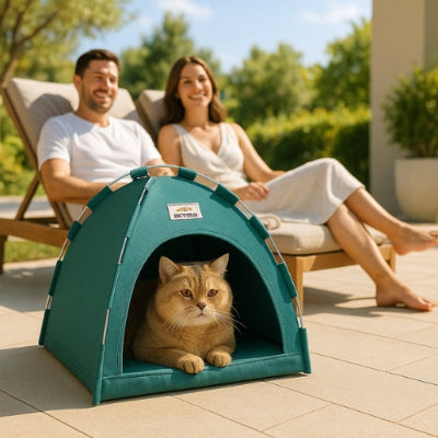 niche-chat-tente-verte-extérieur