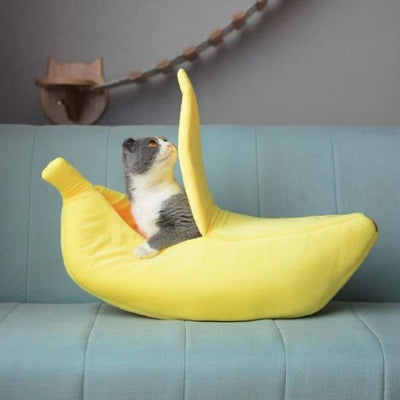 niche-pour-chat-amusante