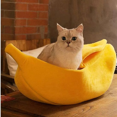 niche-pour-chat-apaisante