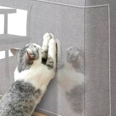 protection-canape-chat-economique