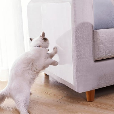 protection-canape-chat-très-résistant