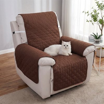 protege-canape-chat-fauteuil-café