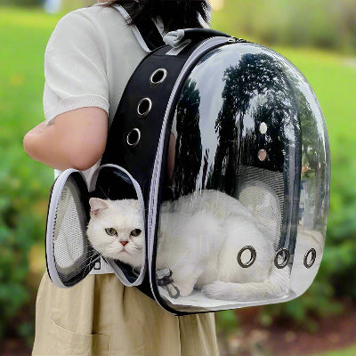 sac-a-dos-pour-chat-fenetre
