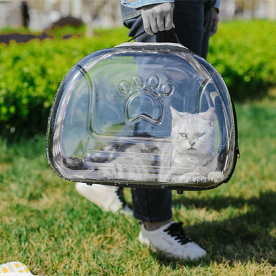 sac-transport-chat-balade