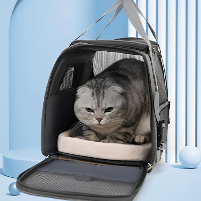 sac-transport-chat-grand