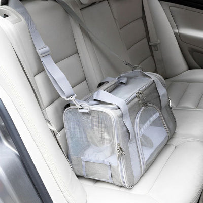 sac-transport-chat-securite