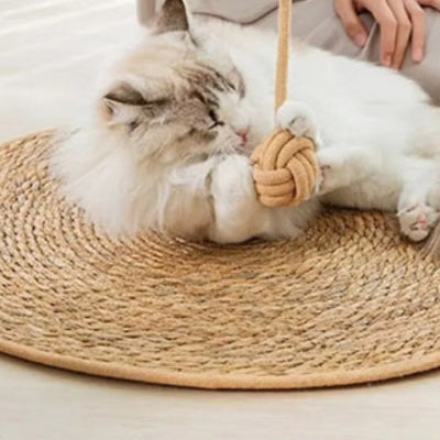 tapis-griffoir-chat