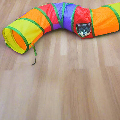 tunnel-pour-chat-jeux