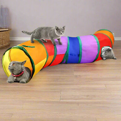 tunnel-pour-chat-trois-sorties
