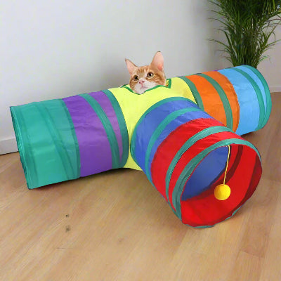 tunnel-pour-chat