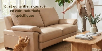 canapé-cuir-griffe-chat-solutions