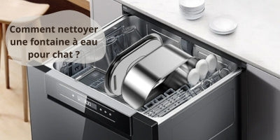 nettoyage-d'une-fontaine-à-eau-pour-chat-démontée