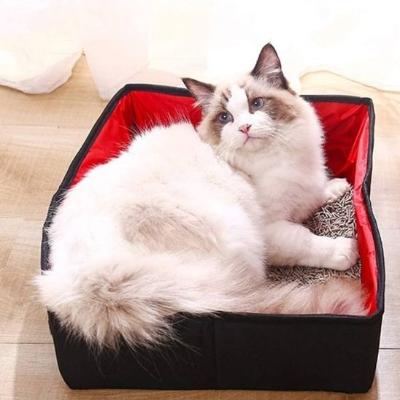 Chat blanc et marron allongé dans le bac à litière portable rouge et noir