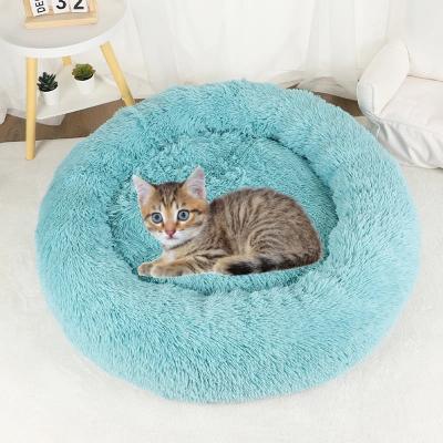 coussin-pour-chat-vert